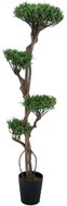 Bonsai tree, 4 trunks, 170 cm - Artificial Tree