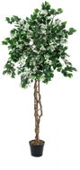 Bougainvillea white, 150 cm - Artificial Tree