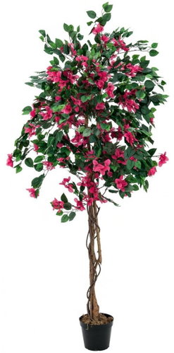 Bougainvillea red, 180 cm - Artificial Tree - Main image