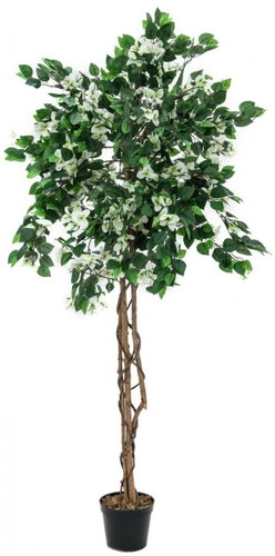 Bougenvilia white, 180 cm - Artificial Tree - Main image