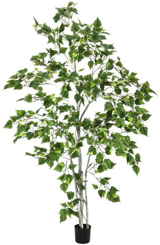 Birch, 180 cm - Artificial Tree - Main image