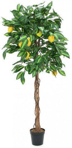 Lemon tree with fruit, 180 cm - Artificial Tree - Main image