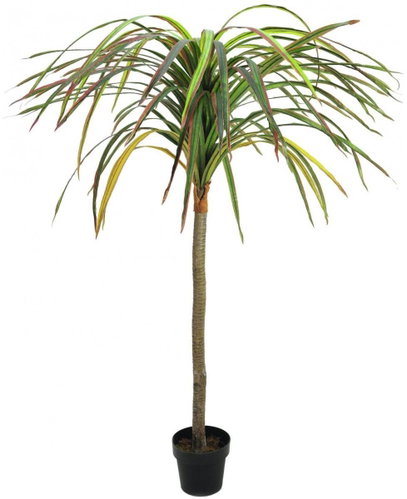 Dracena red-green, 170 cm - Artificial Tree - Main image