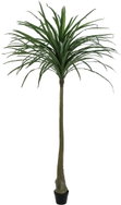 Dracena green, 220 cm - Artificial Tree