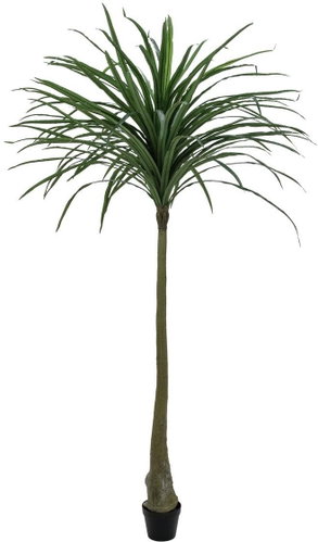 Dracena green, 220 cm - Artificial Tree - Main image