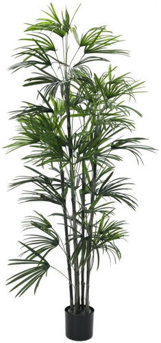 Fan palm, 150 cm - Artificial Tree - Main image
