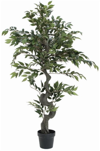 Forest ficus, 110cm - Artificial Tree - Main image