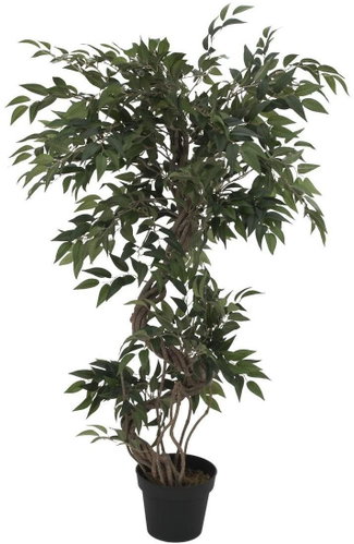Ficus with multiple twisted trunks, 130cm - Artificial Tree - Main image