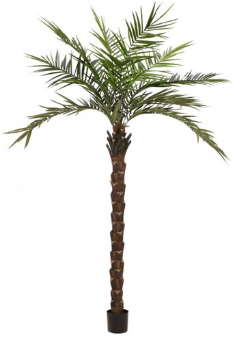Kentia palm deluxe, 300cm - Artificial Tree - Main image