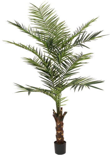 Kentia palm, height 240cm - Artificial Tree - Main image