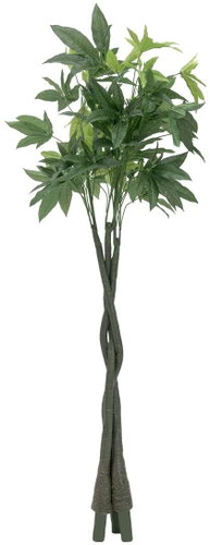 Pachira stems, 3 pieces, 160cm - Artificial Tree - Main image