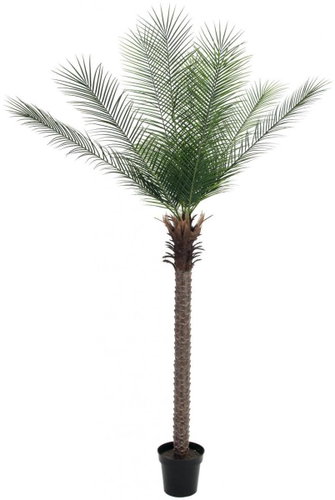 Phoenix palm deluxe, 220 cm - Artificial Tree - Main image