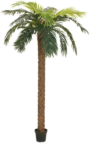 Phoenix palm deluxe, 250 cm - Artificial Tree - Main image