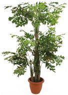 Fish tail - palm tree, 380 cm - Artificial Tree