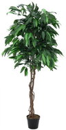 Mango tree, 180 cm - Artificial Tree