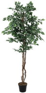 Silver ficus Benjamin,180 cm - Artificial Tree