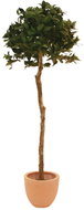Laurel tree round, 180 cm - Artificial Tree