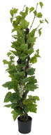 Vine with grapes, 160 cm - Artificial Tree