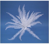 White decorative fern, 60 cm - Artificial Grass