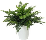 Fern in pot, 48 cm - Artificial Grass