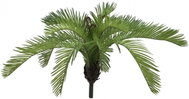 Cycas fern, 50 cm - Artificial Grass
