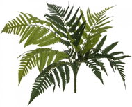 Lady fern, 60 cm - Artificial Grass