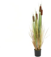 Periwinkle, river reed with cigars, 150 cm - Artificial Grass