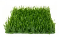 Artificial grass, dark green, 25 x 25 cm - Artificial Grass