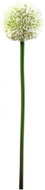Allium cream, 55 cm - Artificial Flower