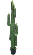 Mexican green cactus, 173 cm - Artificial Flower