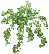 Nephthytis trs, 50 cm - Artificial Flower