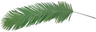Palm leaf - royal coconut (piece), 180 cm - Artificial Flower