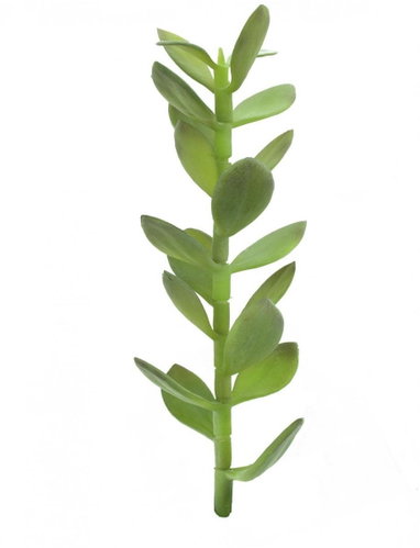 Penny-pincher, 30cm - Artificial Flower - Main image