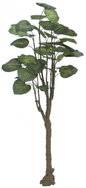 Pothos tree, 150cm - Artificial Flower