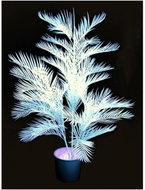 UV Kentia, 170cm - Artificial Flower