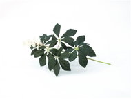 Chestnut branch with buds, green, 60 cm - Artificial Flower