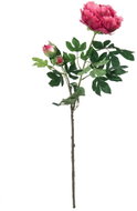 Peony branch, dark red, 100cm - Artificial Flower