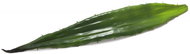 Aloe list zelený, 60 cm - Umělá květina