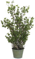 Stálezelený keřík 120 cm - Umělá květina