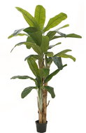 Banánovník, 240cm - Umělý strom