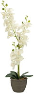 Orchidej se smetanovými květy, 80 cm - Umělá květina