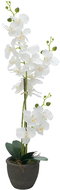 Orchidej s bílými květy, 80 cm - Umělá květina