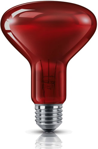 MERICARE 100 W - Infrared Light Bulb - Main image