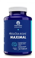 Renovality Přeslička rolní Maximal 90 tobolek - Dietary Supplement