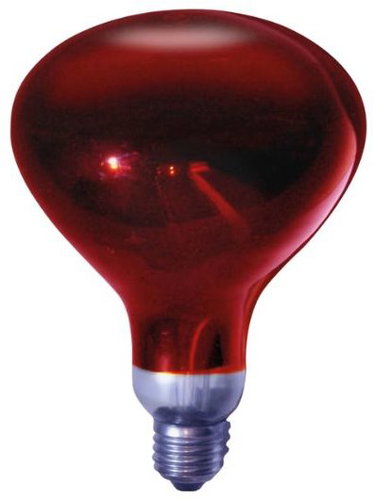Garsaco Premium infrared heating bulb E27 GSC, 250 W, 115 mm, all red - Infrared Light Bulb - Main image