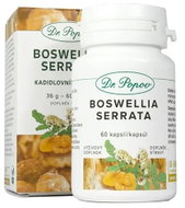 Dr.Popov Boswellia Serrata – Kadidlovník (extrakt) 60 kps - Boswellia