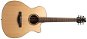 Henry’s DAILY - GAD1 natural - Acoustic Guitar