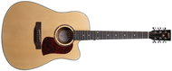 Henry's BONEFIRE B101 with natural pickup - Acoustic-Electric Guitar
