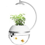 Herb & Fish Connect - Food Dispenser