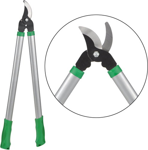 Shears - Pruning Shears - Main image